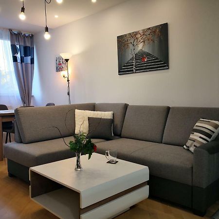 شقة Apartament Alfa Stary Toruń المظهر الخارجي الصورة